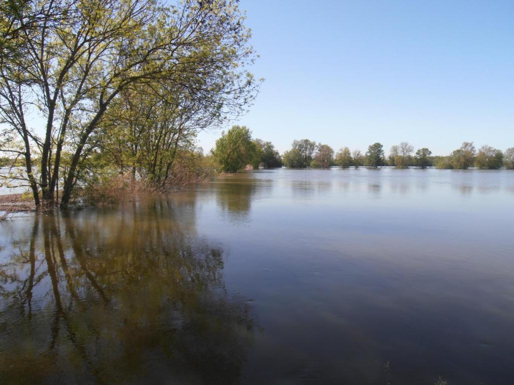 Hotel Chateau Sainte Marie Dompierre-sur-Charente Exterior foto